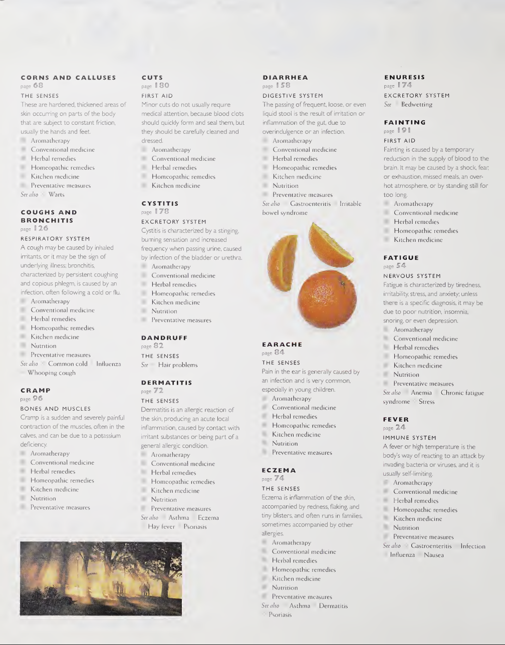 Sample page 4 from the home remedies reference