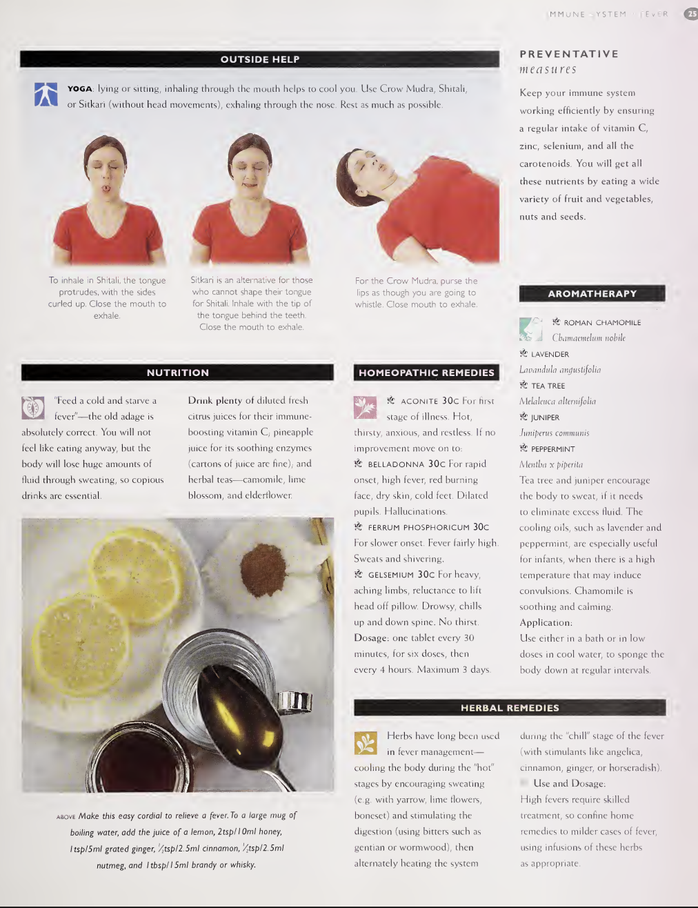 Sample page 13 from the home remedies reference